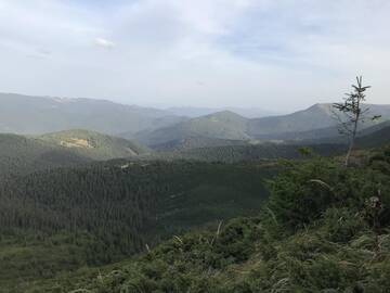 Фотографии Апартаменты Під Явором г. Ворохта (Украина) №3 Фото Апартаменты Під Явором г. Ворохта 3